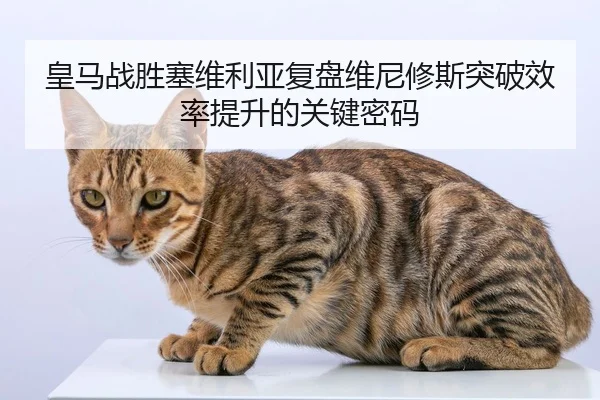 皇马战胜塞维利亚复盘维尼修斯突破效率提升的关键密码